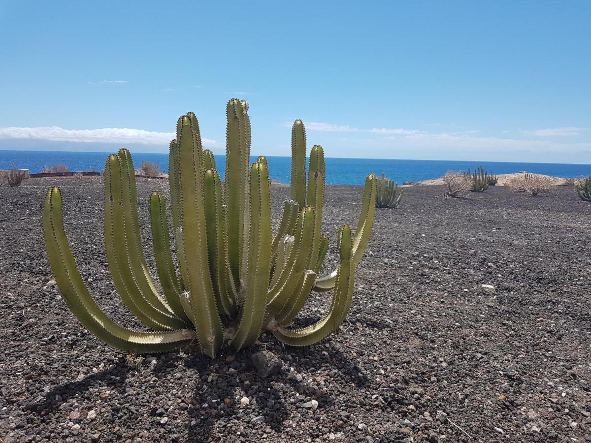 Tenerife Lizards - Duplex In The First Line Callao Salvaje Εξωτερικό φωτογραφία