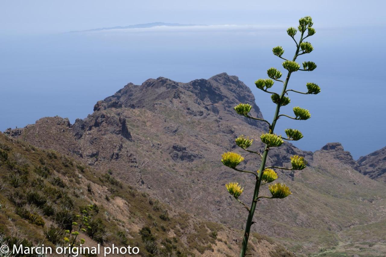 Tenerife Lizards - Duplex In The First Line Callao Salvaje Εξωτερικό φωτογραφία