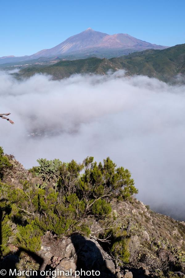 Tenerife Lizards - Duplex In The First Line Callao Salvaje Εξωτερικό φωτογραφία