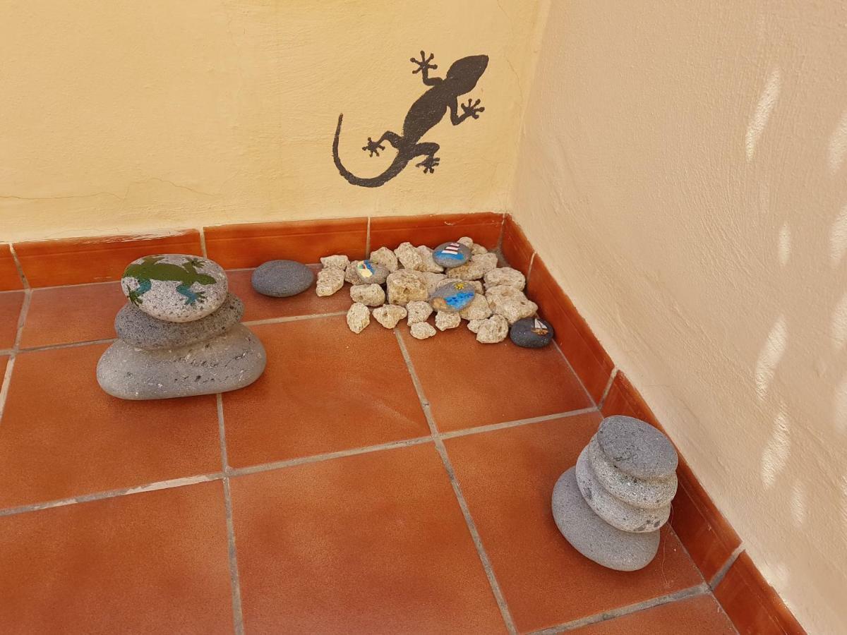 Tenerife Lizards - Duplex In The First Line Callao Salvaje Εξωτερικό φωτογραφία